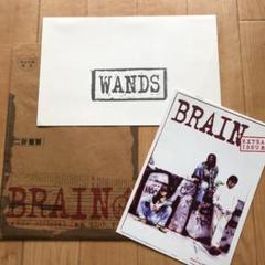 WANDS / ファンクラブ 会報 増刊号