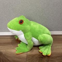 ぴょこんとアマガエル　ぬいぐるみ