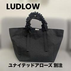新品未使用　ラドロー　シャーリング　メッシュバッグ　Sサイズ 新品未使用 ラドロー シャーリング メッシュバッグ Sサイズ