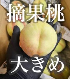 暁星 摘果桃 加工用 カリカリ 10kg 桃 暁星 摘果桃 加工用 カリカリ 10kg 桃 - メルカリ