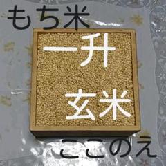 もち米 1升 玄米