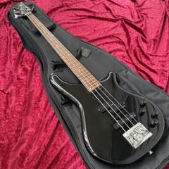 メンテ済 KAWAI x Schaller ROCKOON KRB-55 PJ - メルカリ