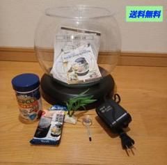 2025年最新】テトラ ウォーターフォール アクアリウムの人気