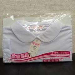 新品 スクールタイガー　形状記憶　子供　ブラウス 丸襟 長袖 M　160　女子