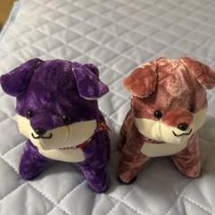 金華山　犬　ぬいぐるみ　2個セット