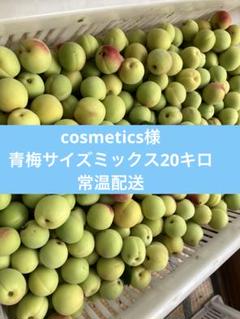 cosmetics様 青梅サイズミックス20キロ 常温配送 cosmetics様 青梅サイズミックス20キロ 常温配送 - メルカリ