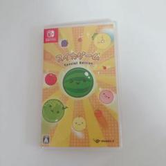 任天堂　switch スイッチ　スイカゲーム Special Edition