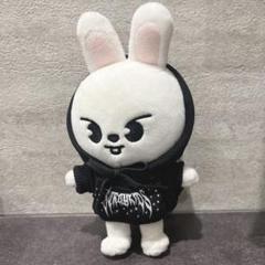 リービット　ミニ 2025年最新】Skzoo リービット ミニの人気アイテム - メルカリ