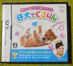 任天堂 DS カセット 仔犬でくるりん