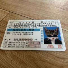 2025年最新】カード なめんなよの人気アイテム - メルカリ