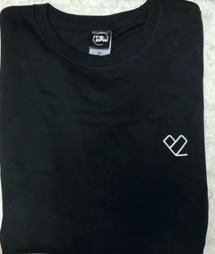 2PM - 【新品未使用・美品】2PMウヨンTシャツ Lサイズ 黒 2pm wooyoung T-SHIRT【M】 / WOOYOUNG (From 2PM)『Off the record』 – JYP