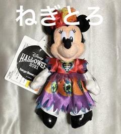 スプーキーboo ミキミニ ぬいぐるみバッジ 2体 ぬいぐるみバッジ】ミニー ディズニー ハロウィン スプーキー