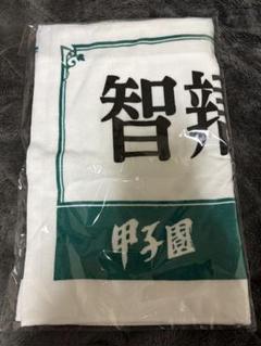 第97回選抜高校野球大会　智弁和歌山高校　タオル　センバツ2025 甲子園