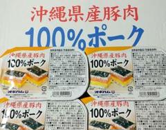 07(激安)沖縄県産豚肉100%ポーク 5個