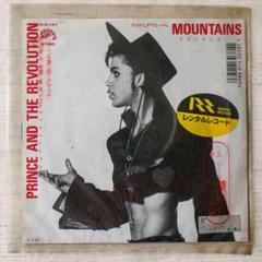 【PRINCE】12インチシングル10枚 変形レコードシングル1枚 ツアーパンフ MOUNTAIN』プリンス&ザ・レボリューション 7インチシングル
