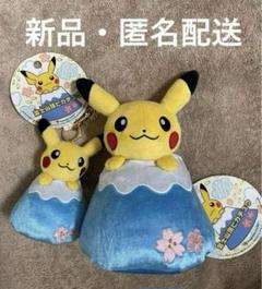 富士山頂ピカチュウ ぬいぐるみ 御殿場アウトレット限定 ポケモンセンター 富士山頂ピカチュウ ぬいぐるみ 御殿場アウトレット限定