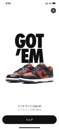 ナイキダンクlow