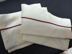 Pro Team Arm Screens | Rapha