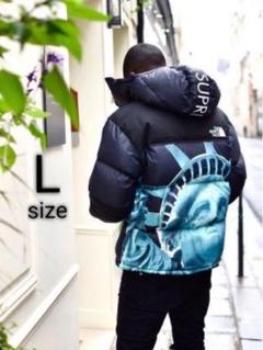 Supreme (シュプリーム) ×THE NORTH FACE 雪山柄 マウンテン