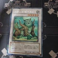 ナチュル・ビースト DTC1-JP082 デュエルターミナルシークレット ナチュル・ビースト DTC1-JP082 デュエルターミナルシークレット