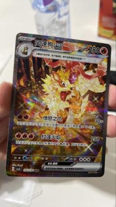 ポケモンカードゲーム ウィンディex 絵違い 海外 中国限定