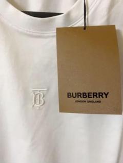 burberry 30ss