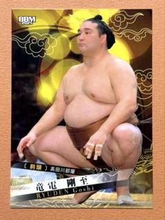竜電 大相撲カード 2025