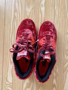 NIKE AIR MAX 90 ウィメンズエアマックス アニバーサリー 23cm
