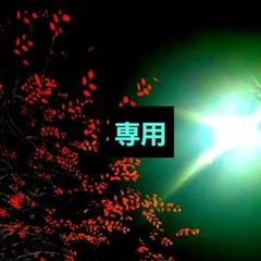 【∽天空光輪∽】『最善の選択、トラブル回避～願望成就』特級呪物　曰く付き　呪物のサムネイル
