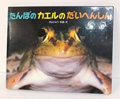 たんぼのカエルのだいへんしん 【キレイ目】