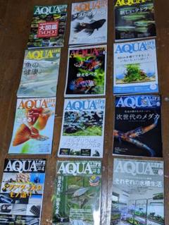 月刊「アクアライフ」　まとめ売り