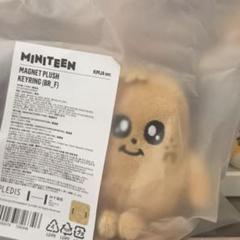 2025年最新】miniteen キーリング ミンギュの人気アイテム