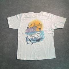 【SALT Life】フィッシングTシャツ 白古着usedTSM1 大判プリント