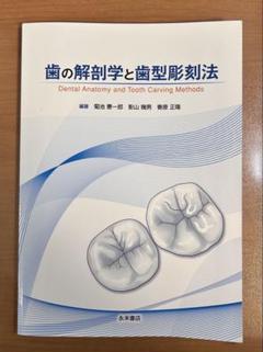 歯の解剖学と歯型彫刻法