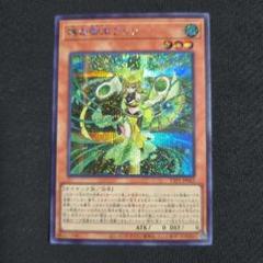 遊戯王　珠の御巫フゥリ　シークレット