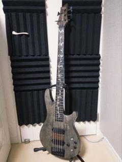 2025年最新】5弦 schecterの人気アイテム - メルカリ