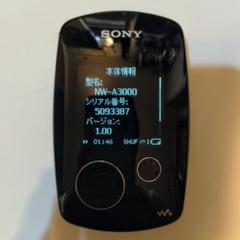 2025年最新】nw-a3000の人気アイテム - メルカリ
