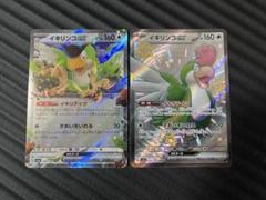 ミュウex イキリンコex ピジョットex まとめ売り 汎用カード まとめ売り ピジョットex ミュウex イキリンコex