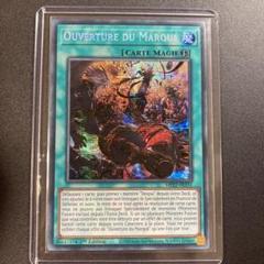 遊戯王 ニューロン　交換品 烙印 ドラグマ スリーブ　おまけ付き 遊戯王 ニューロン 交換品 烙印 ドラグマ スリーブ おまけ付き