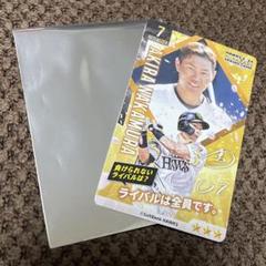 m90127376368_1.jpg?1709304944