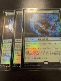 MTG 氷耕しの探検家 foil 3枚 - メルカリ