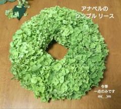 アナベル リース 約20㎝ ハンドメイド ドライフラワー フラワーリースのサムネイル