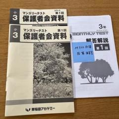 早稲田アカデミー マンスリーテスト 小3 - メルカリ 早稲田アカデミー マンスリーテスト 小3 - メルカリ