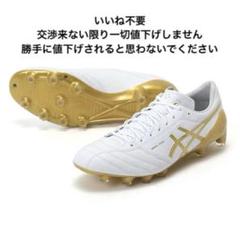 アシックスDSライトX-FLY4 24.5cmモレリア アルファジャパン f50
