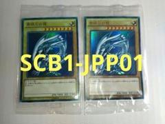 青眼の白龍　SCB1-JPP01　ウルトラ　2枚セット　新品未開封