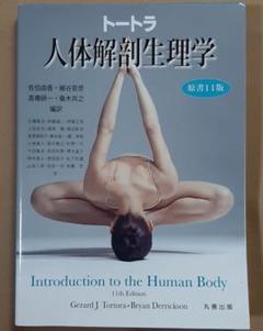 トートラ人体解剖生理学 原書11版 基礎医学 解剖学 生理学
