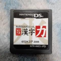 DSソフト カンペキ漢字力 みんなのDSゼミナール