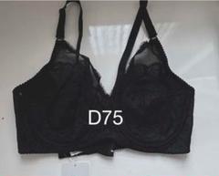 新品❗AHN MIKAプロデュースダイアナ補正ブラジャーD75ラクスコレクション 2025年最新】ダイアナ 下着 d75の人気アイテム - メルカリ
