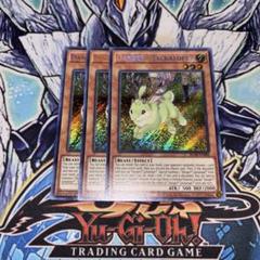 EU版 未界域のジャッカロープ CYHO 1st 遊戯王 海外 英語 米 2025年最新】未界域 英語の人気アイテム - メルカリ