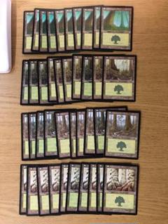 メルカディアンマスクスの森/Forest 日本語 絵柄別40枚セット MTG
